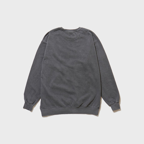 Product Back Photo: A pigment-dyed (coloring technique) cool sweatshirt in black, with a dark grey appearance. The back is unprinted, allowing one to appreciate the unique texture of the pigment-dyed fabric.